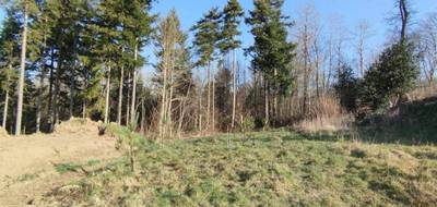 Terrain à Landévant en Morbihan (56) de 404 m² à vendre au prix de 106000€ - 1
