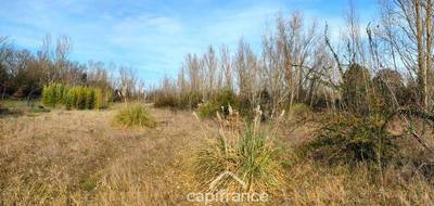 Terrain à Roques en Haute-Garonne (31) de 6000 m² à vendre au prix de 548600€ - 3