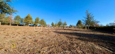Terrain à Villanière en Aude (11) de 8009 m² à vendre au prix de 89900€ - 3