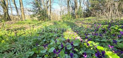Terrain à Flourens en Haute-Garonne (31) de 1015 m² à vendre au prix de 259000€ - 1