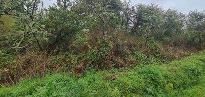 Terrain à Crozon en Finistère (29) de 498 m² à vendre au prix de 4494€ - 3