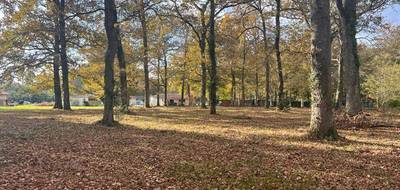 Terrain à Bazas en Gironde (33) de 3600 m² à vendre au prix de 90000€ - 3