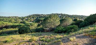 Terrain à Sainte-Maxime en Var (83) de 2270 m² à vendre au prix de 1220000€ - 3