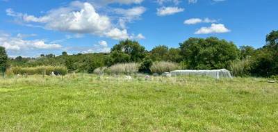 Terrain à Montarnaud en Hérault (34) de 16000 m² à vendre au prix de 59900€ - 3