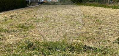 Terrain à Groffliers en Pas-de-Calais (62) de 1036 m² à vendre au prix de 129400€ - 2