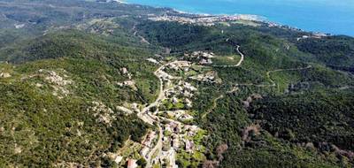 Terrain à Sari-Solenzara en Corse-du-Sud (2A) de 3716 m² à vendre au prix de 330000€ - 1