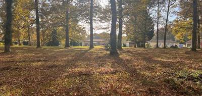 Terrain à Bazas en Gironde (33) de 3600 m² à vendre au prix de 90000€ - 4