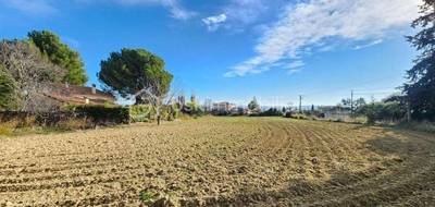 Terrain à Tourbes en Hérault (34) de 1777 m² à vendre au prix de 468000€ - 4