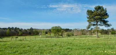 Terrain à Saint-Félix-de-Reillac-et-Mortemart en Dordogne (24) de 2679 m² à vendre au prix de 107500€ - 2