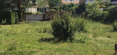 Terrain et maison à Goussainville en Val-d'Oise (95) de 400 m² à vendre au prix de 375079€ - 2