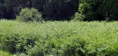 Terrain à Besné en Loire-Atlantique (44) de 880 m² à vendre au prix de 83650€ - 1