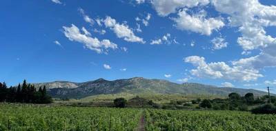 Terrain à Sigean en Aude (11) de 1200 m² à vendre au prix de 69900€ - 1