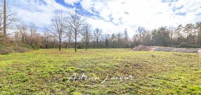 Terrain à Pruniers-en-Sologne en Loir-et-Cher (41) de 1107 m² à vendre au prix de 27990€ - 1
