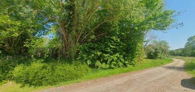 Terrain à Sarcy en Marne (51) de 735 m² à vendre au prix de 59000€ - 2