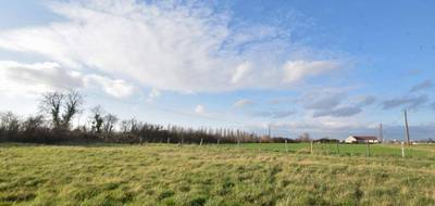Terrain à Chemilly-sur-Yonne en Yonne (89) de 1715 m² à vendre au prix de 42990€ - 1