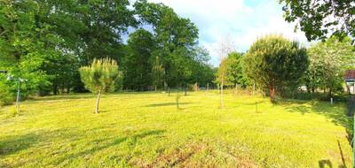 Terrain à Pontonx-sur-l'Adour en Landes (40) de 2390 m² à vendre au prix de 95990€ - 1