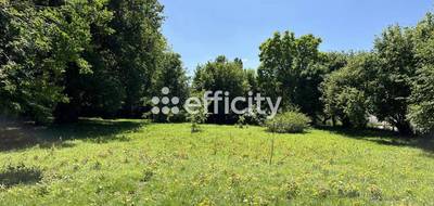 Terrain à Saujon en Charente-Maritime (17) de 6082 m² à vendre au prix de 167000€ - 2