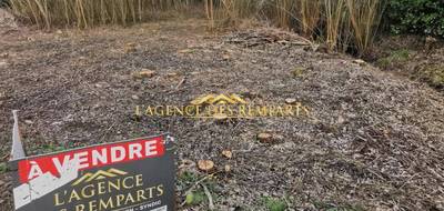 Terrain à La Calotterie en Pas-de-Calais (62) de 3260 m² à vendre au prix de 85600€ - 1