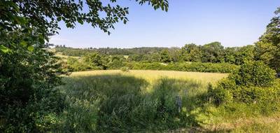 Terrain à Saint-Christophe en Allier (03) de 5782 m² à vendre au prix de 43000€ - 3