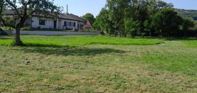 Terrain à Druillat en Ain (01) de 880 m² à vendre au prix de 83000€ - 4