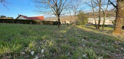Terrain à Objat en Corrèze (19) de 1622 m² à vendre au prix de 31000€ - 3