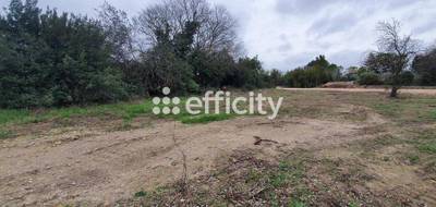 Terrain à Villevieille en Gard (30) de 1340 m² à vendre au prix de 229000€ - 3