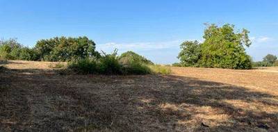 Terrain à Gimont en Gers (32) de 1189 m² à vendre au prix de 85000€ - 3