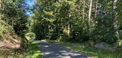 Terrain à Brive-la-Gaillarde en Corrèze (19) de 14696 m² à vendre au prix de 66000€ - 1