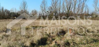 Terrain et maison à Gaillac en Tarn (81) de 650 m² à vendre au prix de 194500€ - 2