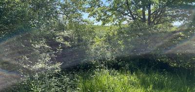 Terrain à Saint-Romain-le-Noble en Lot-et-Garonne (47) de 2865 m² à vendre au prix de 59000€ - 3