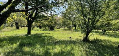 Terrain à Aigueperse en Puy-de-Dôme (63) de 1636 m² à vendre au prix de 89950€ - 4