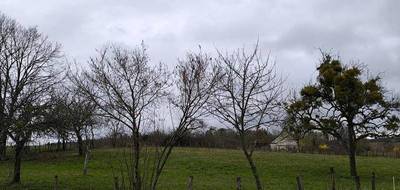 Terrain à Pierre-de-Bresse en Saône-et-Loire (71) de 3056 m² à vendre au prix de 37000€ - 3