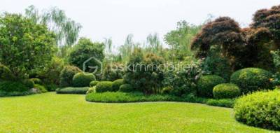 Terrain à Courlon-sur-Yonne en Yonne (89) de 805 m² à vendre au prix de 35500€ - 1
