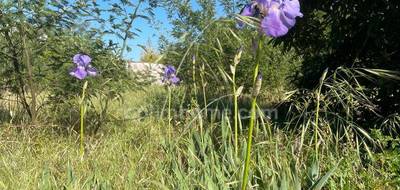 Terrain à La Flotte en Charente-Maritime (17) de 250 m² à vendre au prix de 399000€ - 1