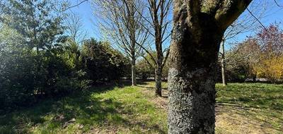 Terrain à Meucon en Morbihan (56) de 697 m² à vendre au prix de 230000€ - 1