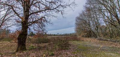 Terrain à Montcaret en Dordogne (24) de 8654 m² à vendre au prix de 168000€ - 4