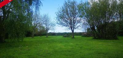 Terrain à Plouguiel en Côtes-d'Armor (22) de 788 m² à vendre au prix de 179500€ - 4
