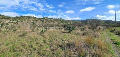 Terrain à Estagel en Pyrénées-Orientales (66) de 4760 m² à vendre au prix de 7500€ - 3
