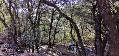 Terrain à Ampus en Var (83) de 11570 m² à vendre au prix de 60000€ - 2