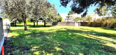 Terrain à Saint-Georges-d'Oléron en Charente-Maritime (17) de 773 m² à vendre au prix de 340000€ - 4