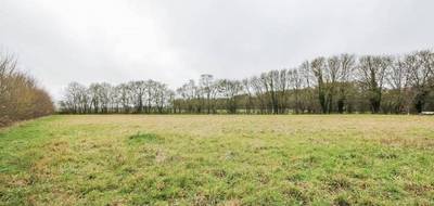 Terrain à Chailloué en Orne (61) de 2000 m² à vendre au prix de 43000€ - 2