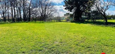 Terrain à Arvert en Charente-Maritime (17) de 460 m² à vendre au prix de 117400€ - 4