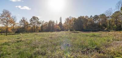 Terrain à Pruniers-en-Sologne en Loir-et-Cher (41) de 1133 m² à vendre au prix de 27990€ - 3