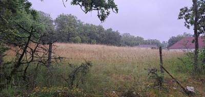 Terrain à Cressensac-Sarrazac en Lot (46) de 7090 m² à vendre au prix de 28000€ - 4