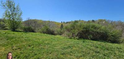 Terrain à Noailles en Corrèze (19) de 3000 m² à vendre au prix de 34990€ - 1