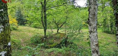 Terrain à Saint-Salvy-de-la-Balme en Tarn (81) de 3600 m² à vendre au prix de 28000€ - 4