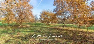 Terrain à Romorantin-Lanthenay en Loir-et-Cher (41) de 4077 m² à vendre au prix de 54990€ - 4