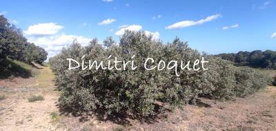 Terrain à Pézenas en Hérault (34) de 5280 m² à vendre au prix de 17000€ - 3