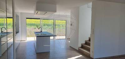 Terrain et maison à Amnéville en Moselle (57) de 162 m² à vendre au prix de 499000€ - 3