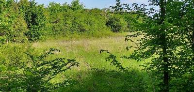 Terrain à La Sauvetat-sur-Lède en Lot-et-Garonne (47) de 3040 m² à vendre au prix de 52000€ - 2